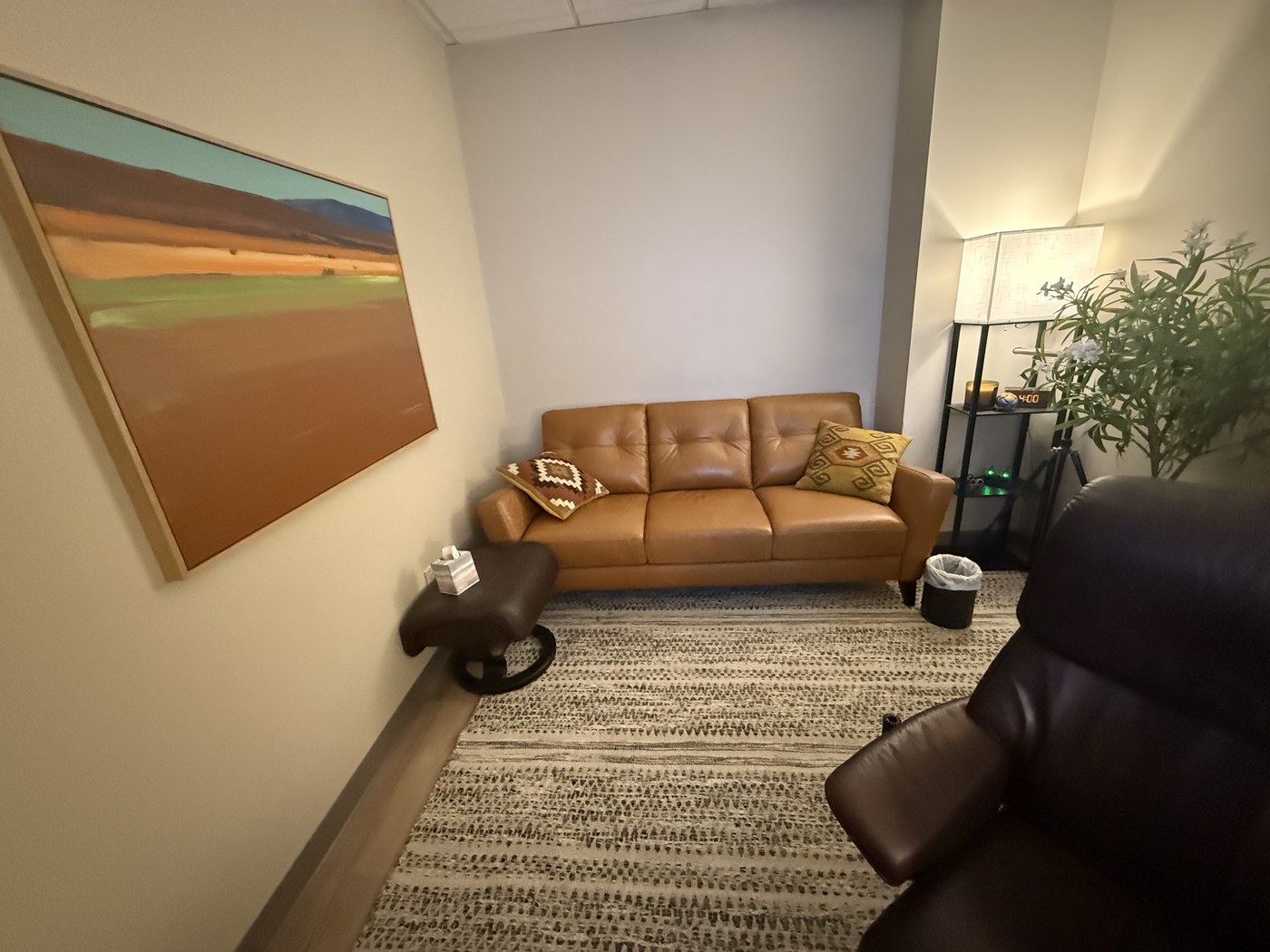 Private clinical office at Cadence Wellness with leather sofa and therapeutic seating